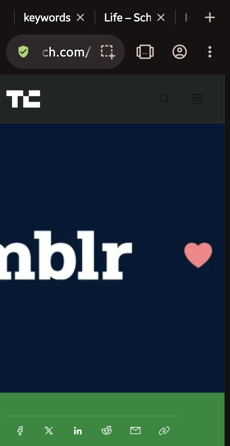 tumblr moving to WordPress 🏸🏓